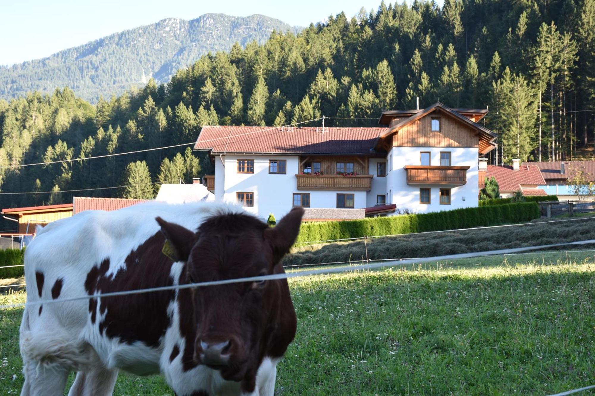 Pension- Appartement Kristall Tröpolach Kültér fotó